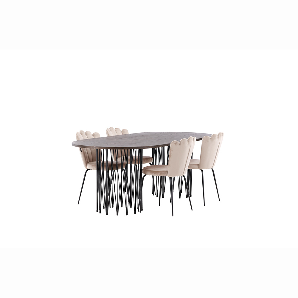 Matgrupp furniture/fashion Stone med 4 Limhamn Light Stolar