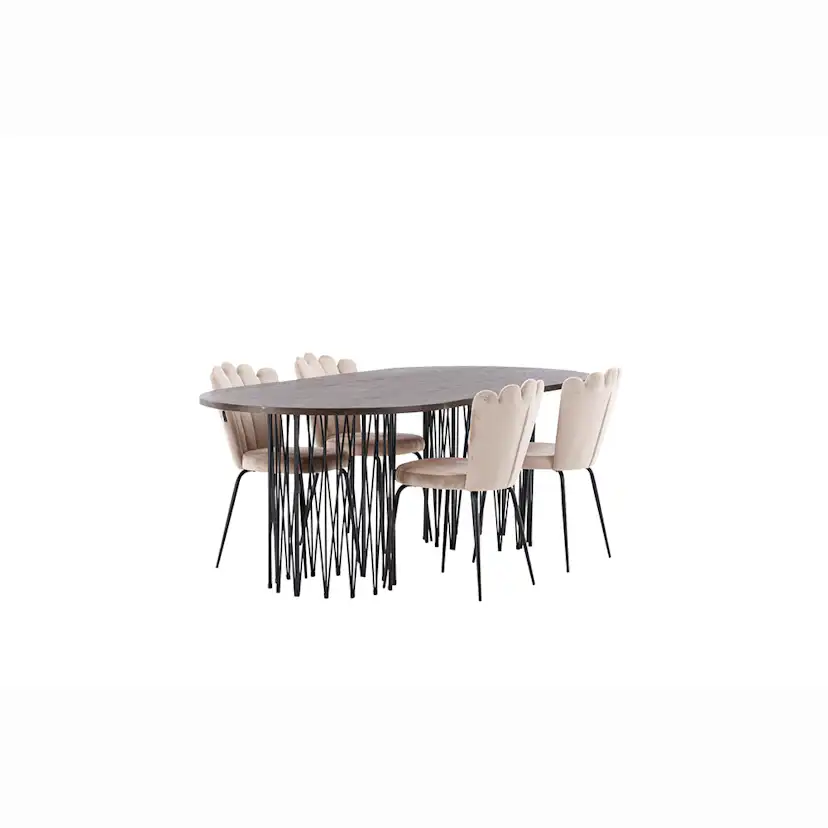 Matgrupp furniture/fashion Stone med 4 Limhamn Light Stolar