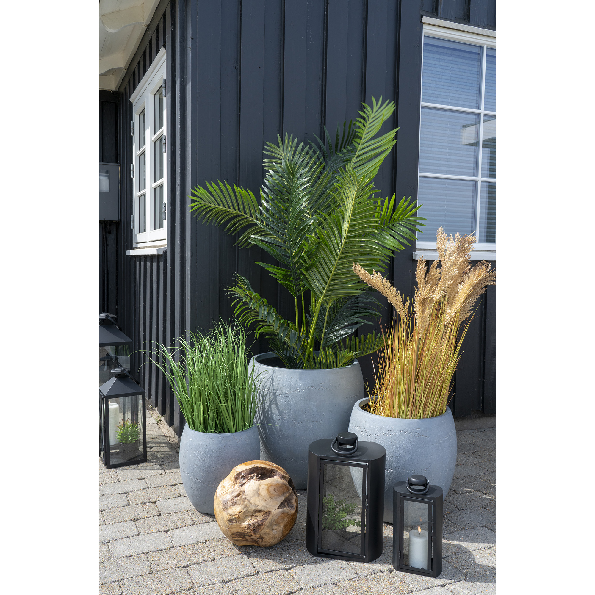 Konstväxt House Nordic Poa