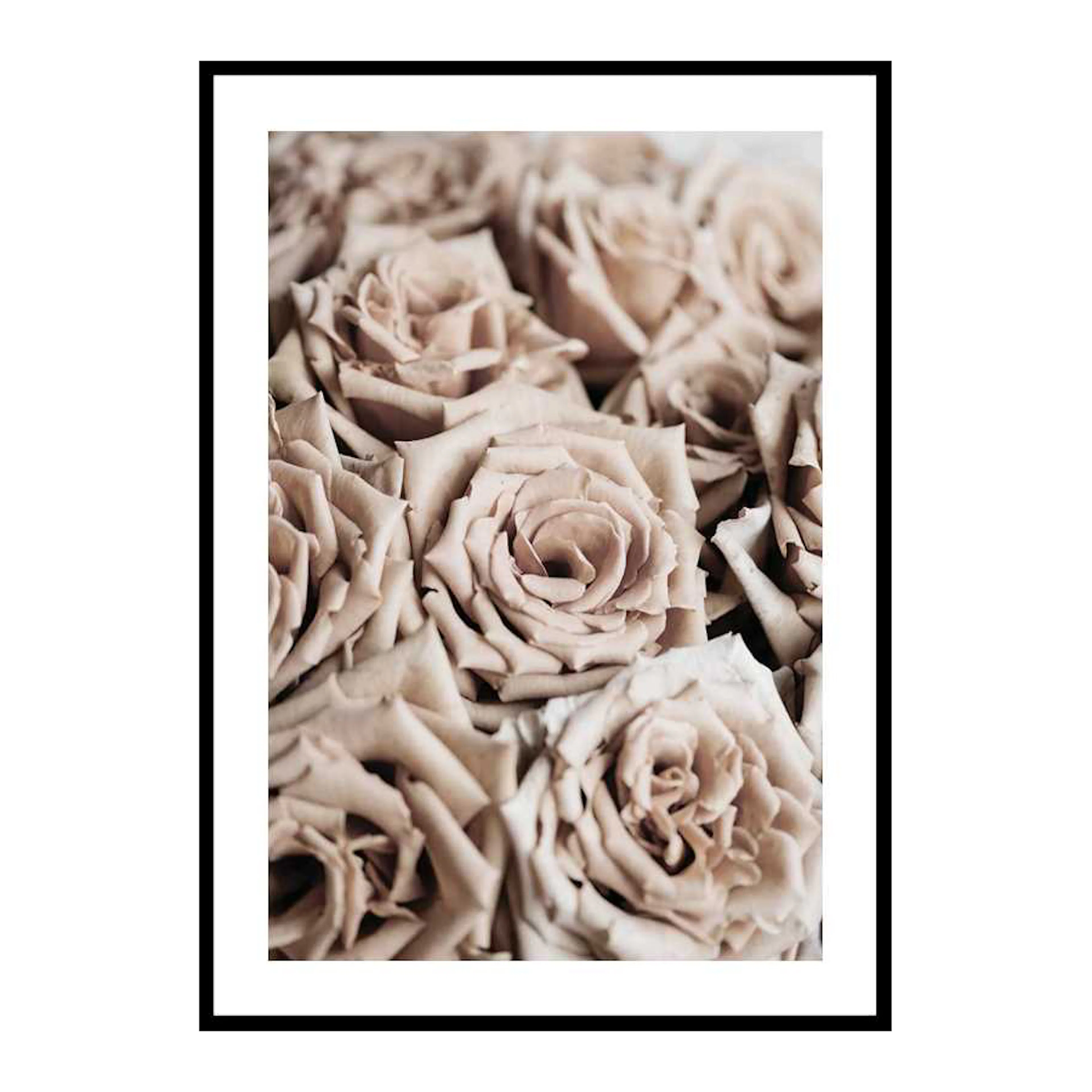 Poster Gallerix Roses