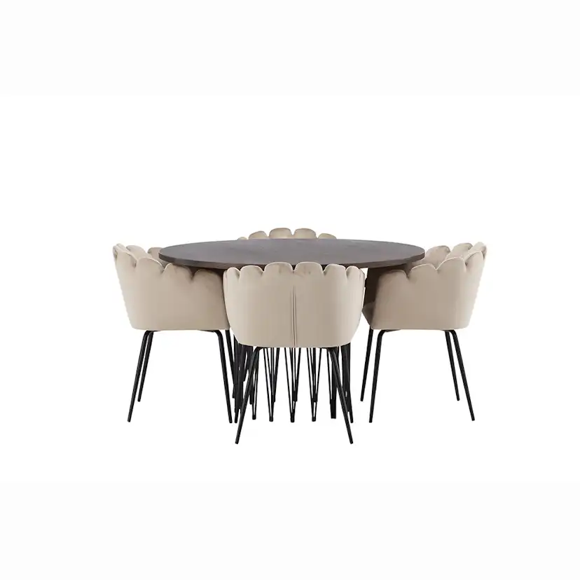 Matgrupp furniture/fashion Stone med 4 Limhamn Stolar Runt