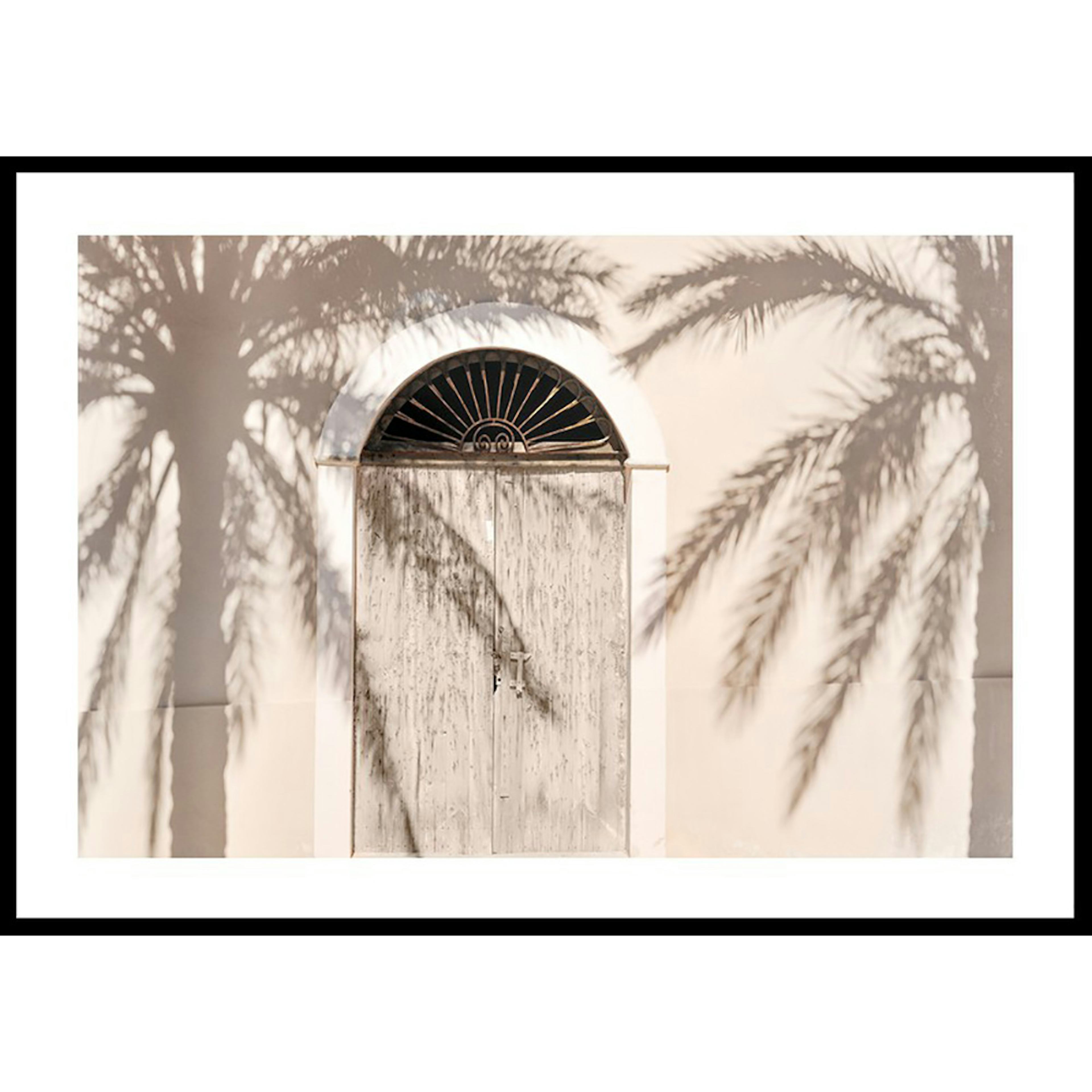 Poster Gallerix Palm Tree Shadows