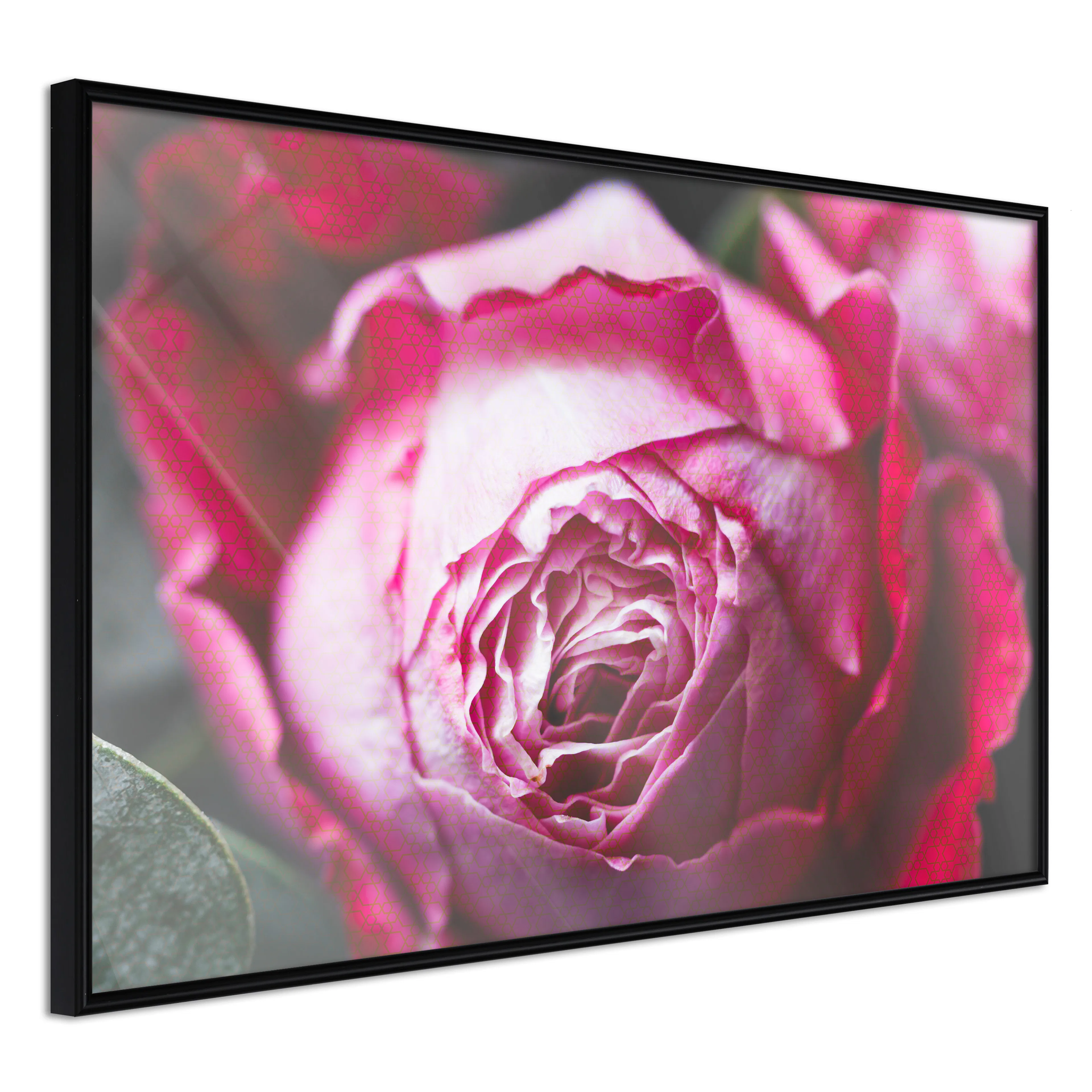 Affisch - Rose Geometry [Poster] 60x40 Svart ram, 60x40 cm