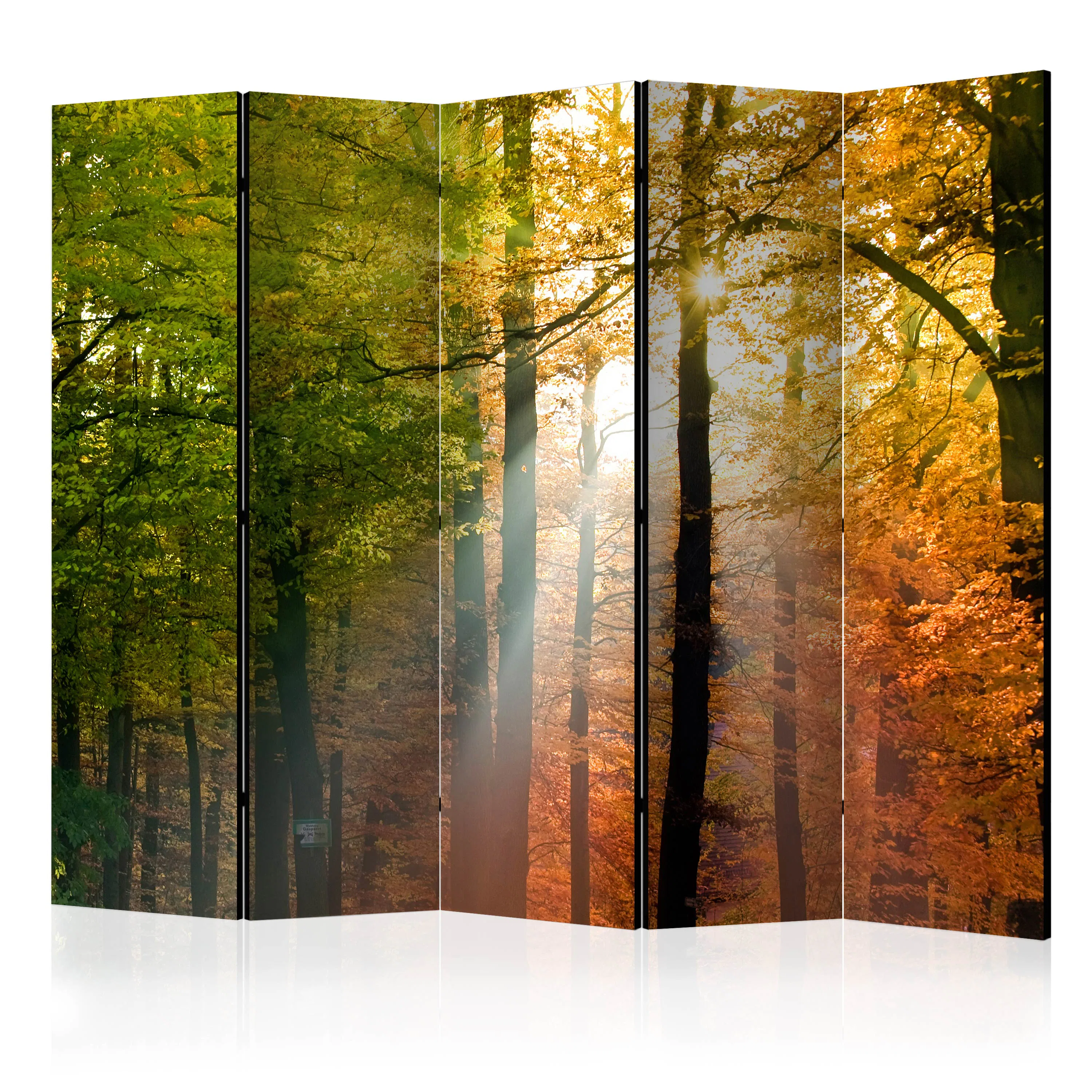 Rumsavdelare Arkiio Forest Colours II 225x172 cm