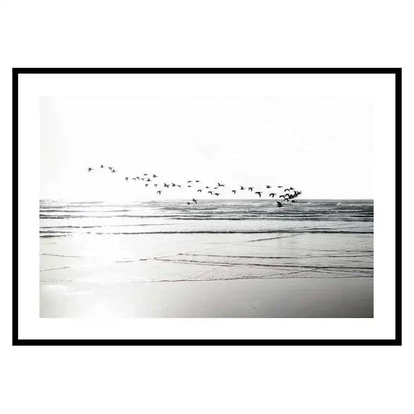 Poster Gallerix Birds Over Beach