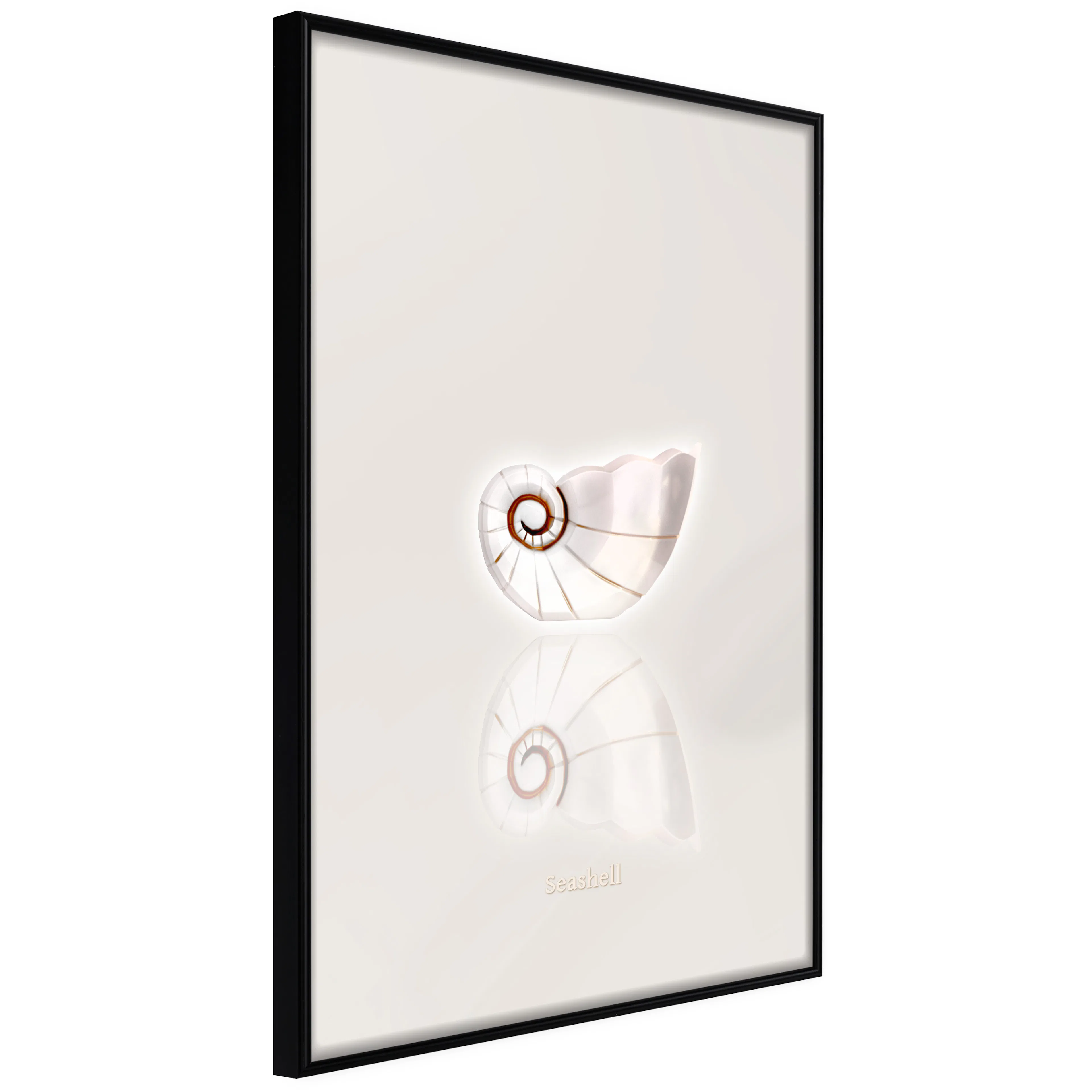 Affisch - Ceramic Shell [Poster] 40x60 Svart ram, 40x60 cm