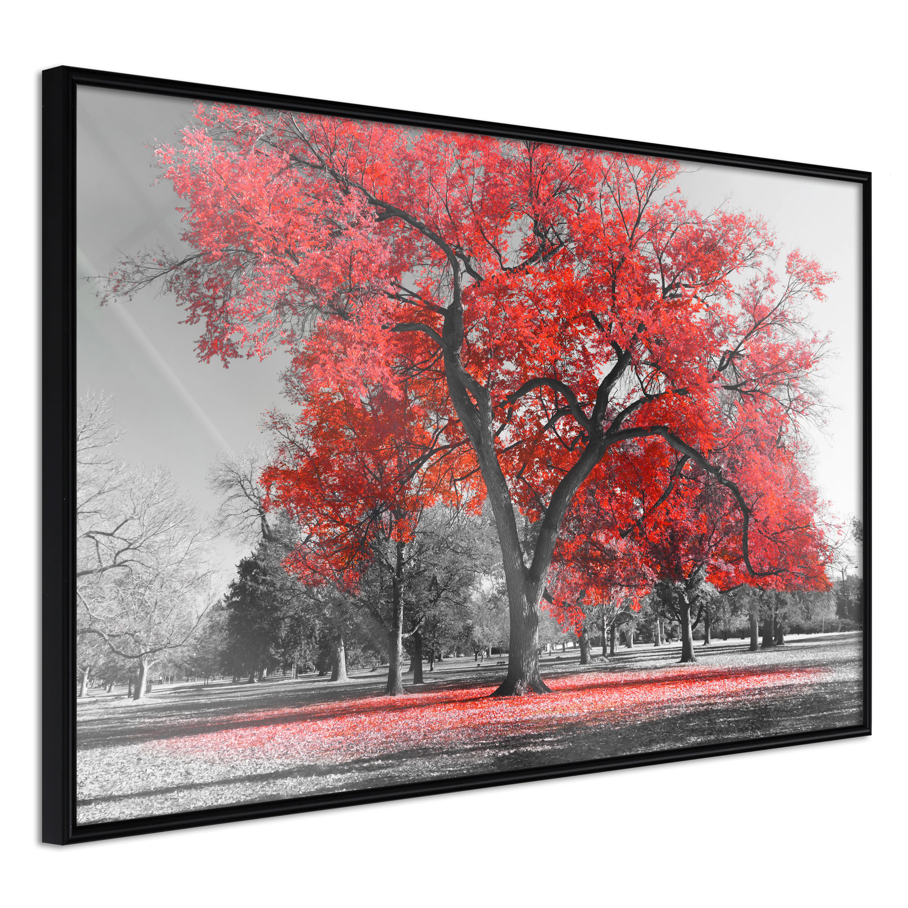 Affisch - Autumn in the Park (Red) [Poster] 60x40 Svart ram, 60x40 cm