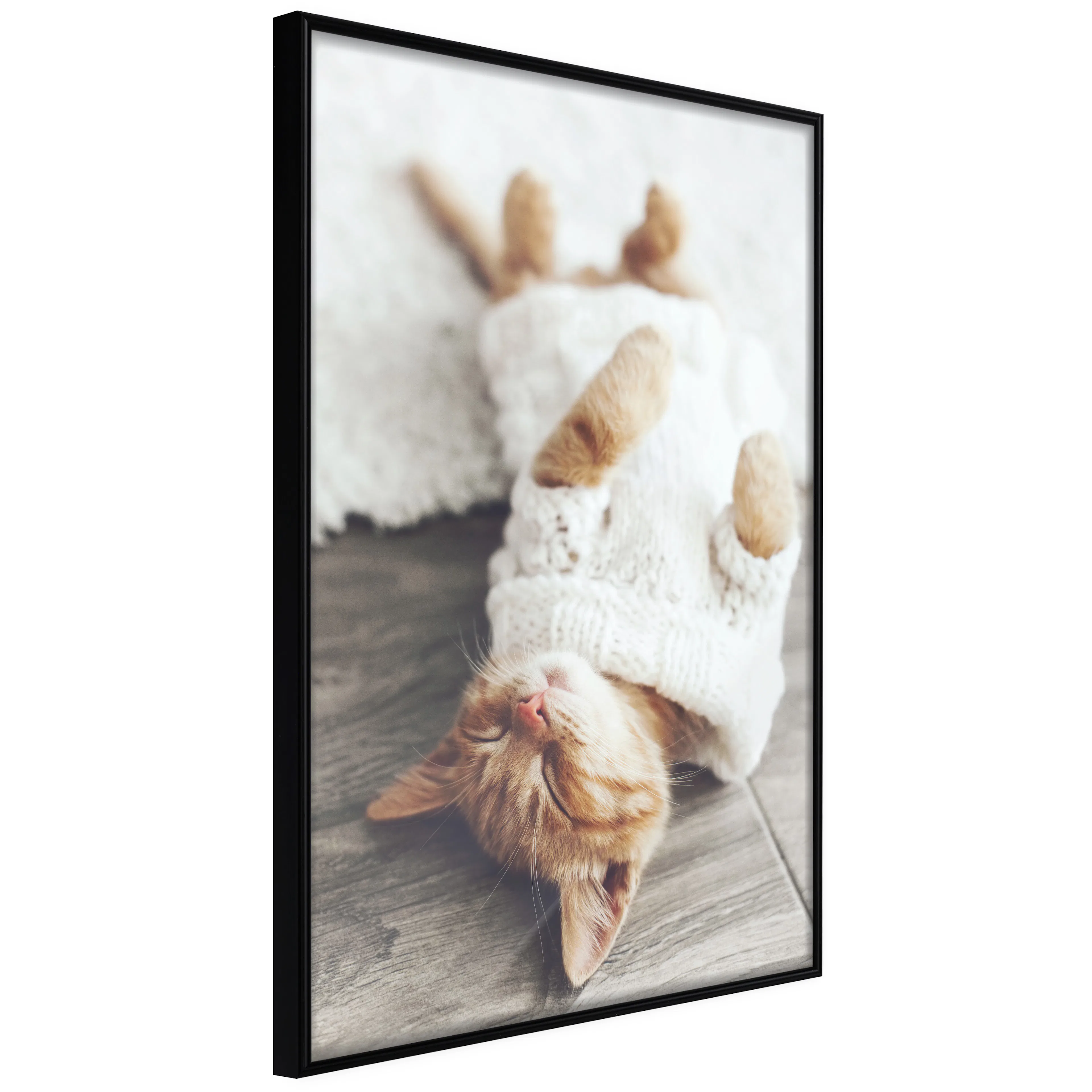 Affisch - Lazy Cat [Poster] 40x60 Svart ram, 40x60 cm