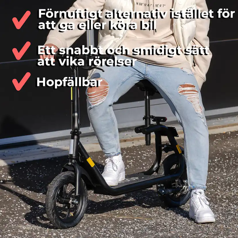 Elscooter Swoop ES800