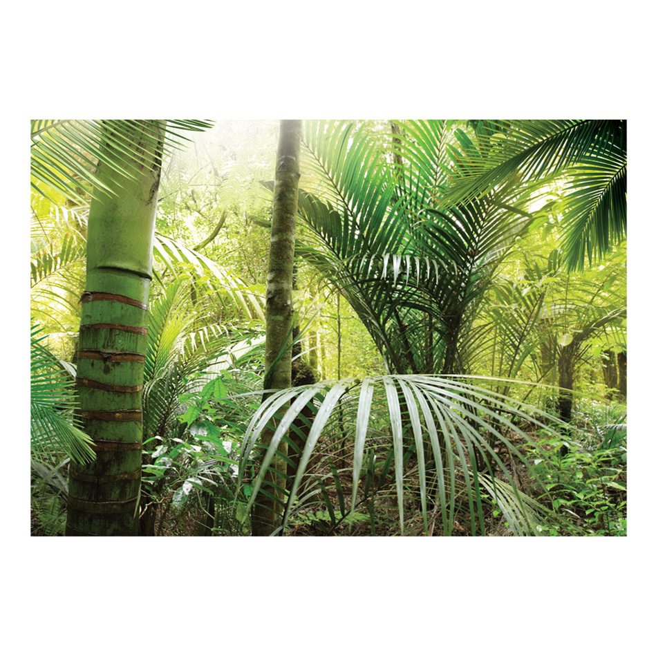 Green alley 250x175 Storlek: 250x175 cm