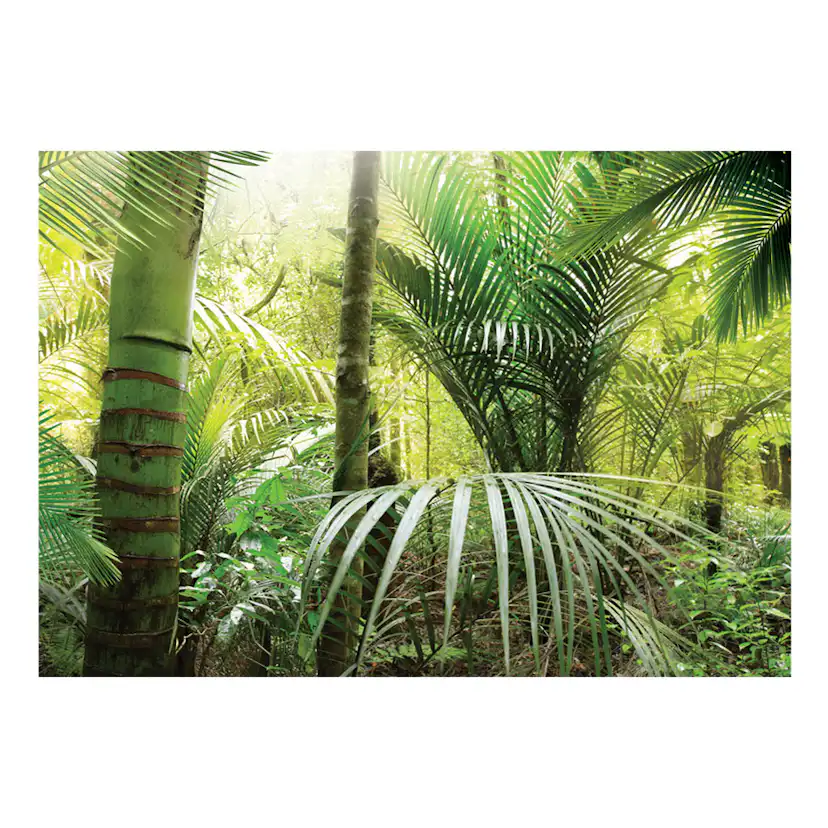 Green alley 250x175 Storlek: 250x175 cm