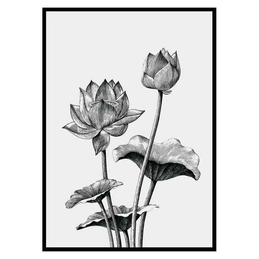 Poster Gallerix Sketched Flowers