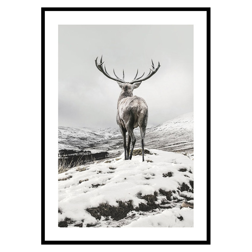 Poster Gallerix Winter Roe Deer