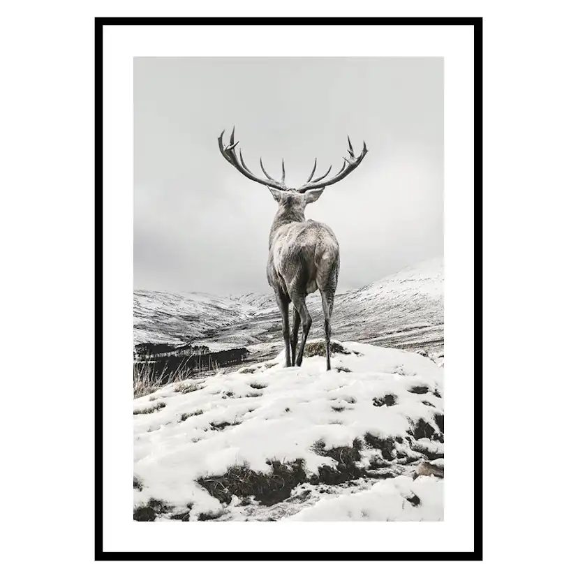 Poster Gallerix Winter Roe Deer