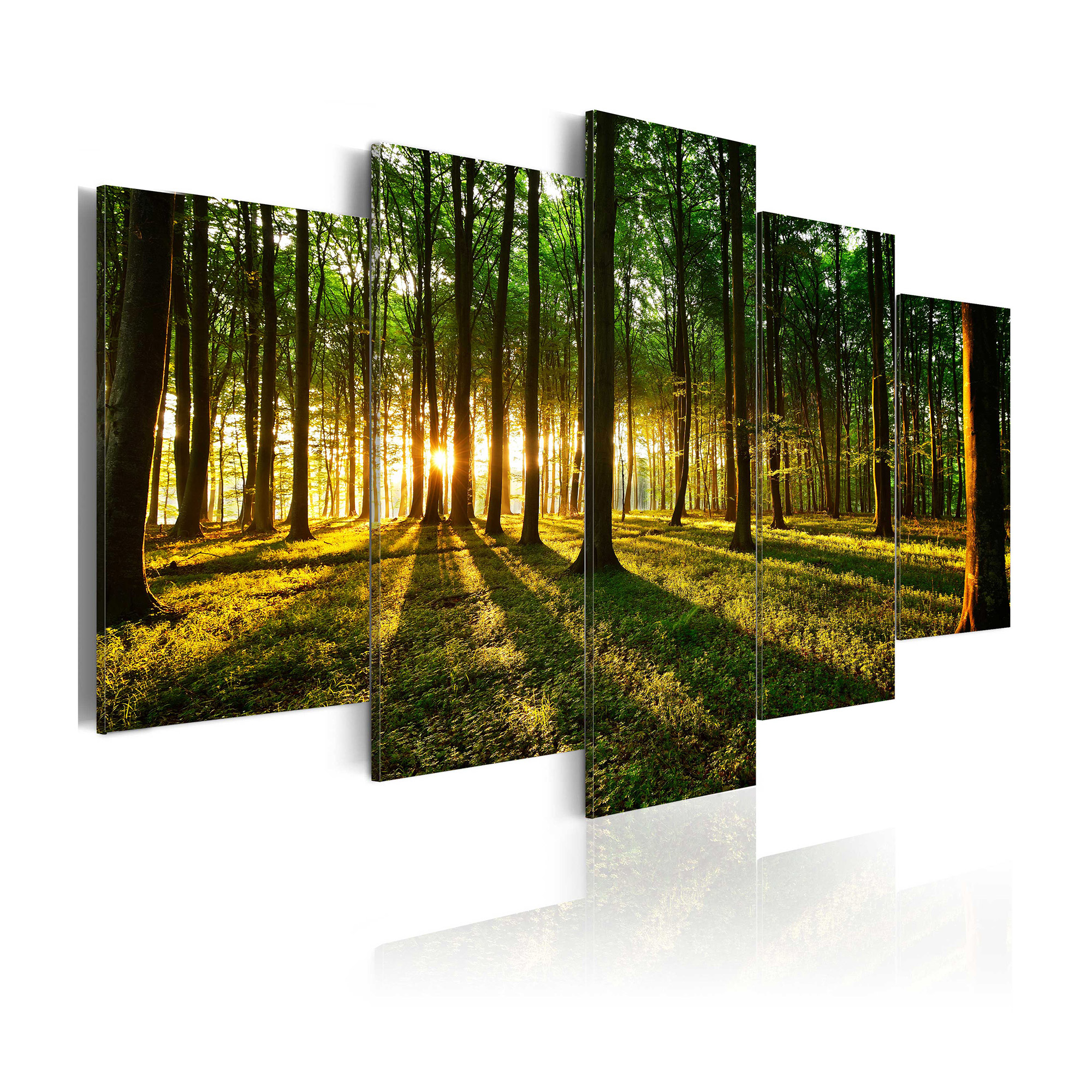 Tavla Arkiio Adventure In The Woods