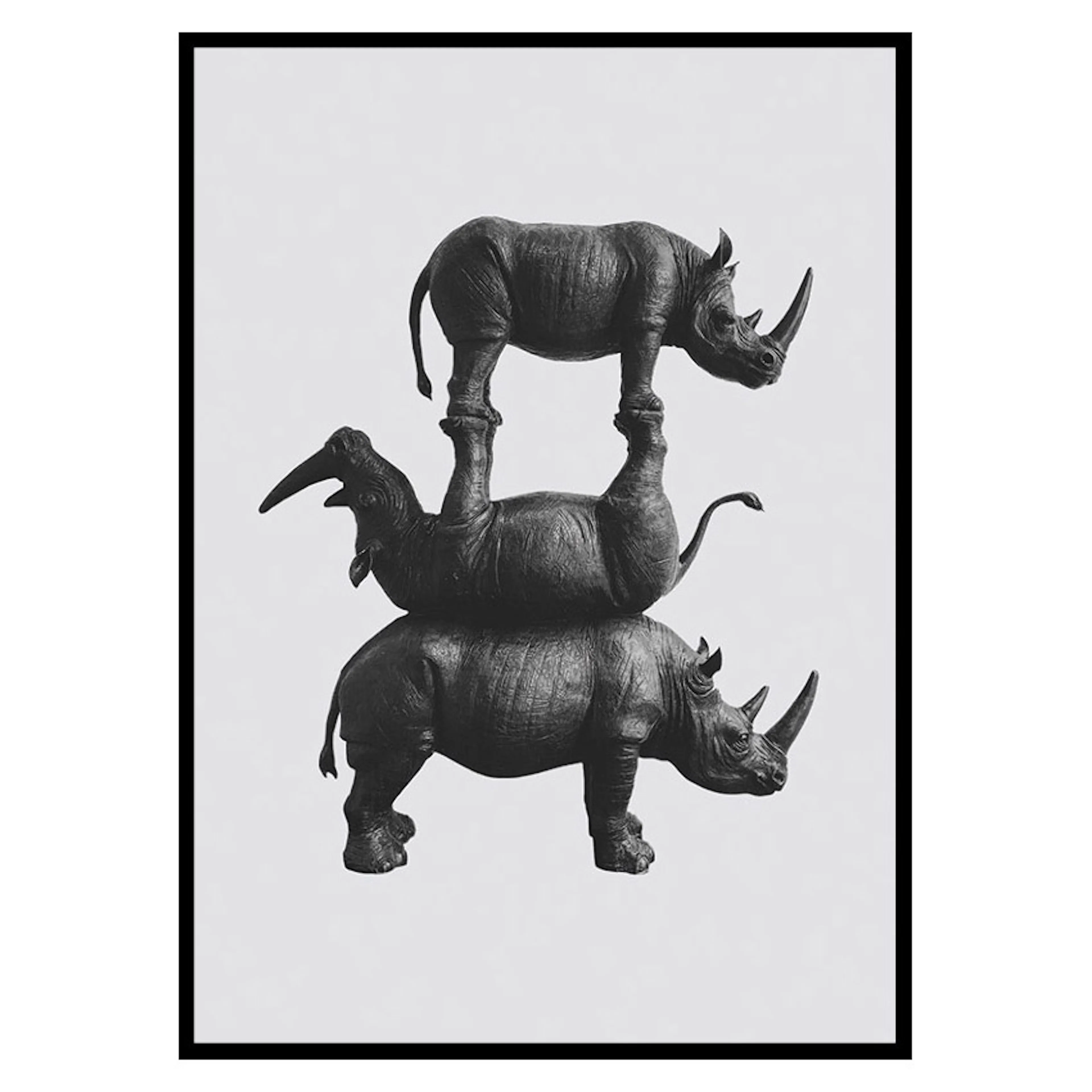 Poster Gallerix Three Rhinos