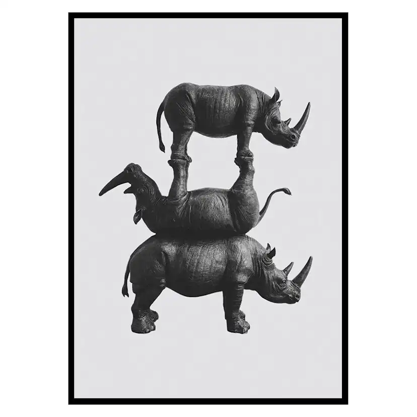 Poster Gallerix Three Rhinos