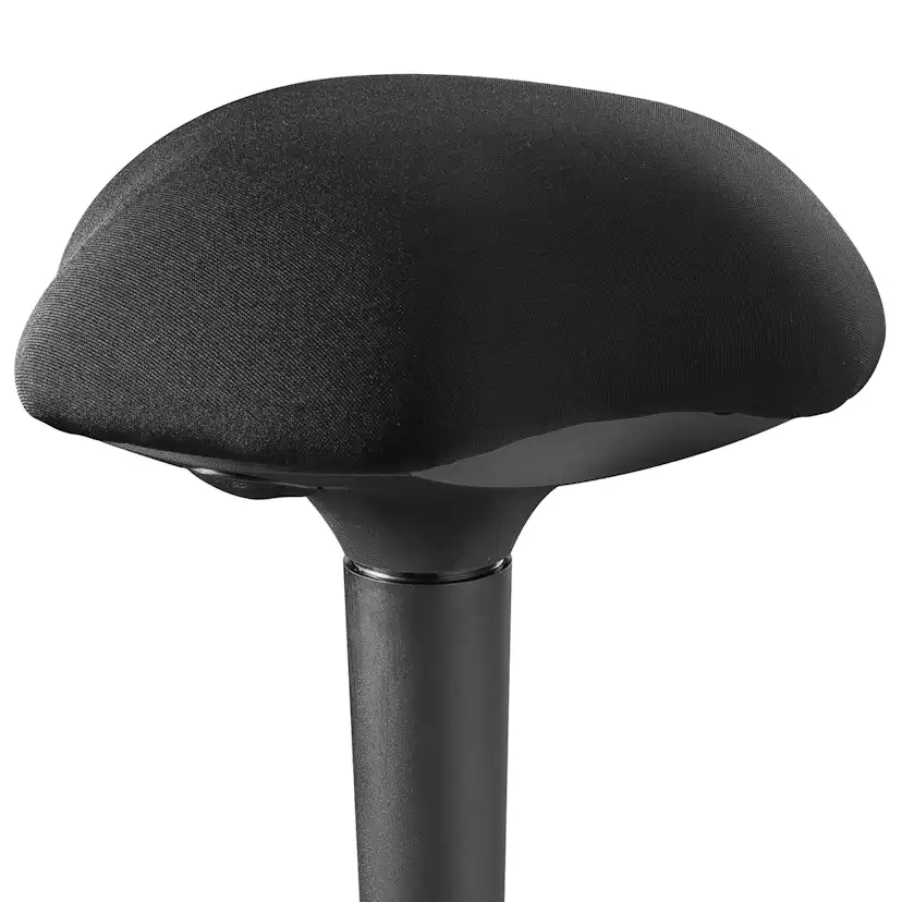 Balanspall LogiLink Ergonomisk
