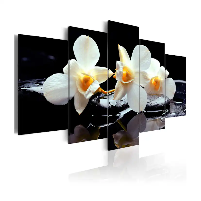 Tavla Arkiio Orchids With Orange Accent