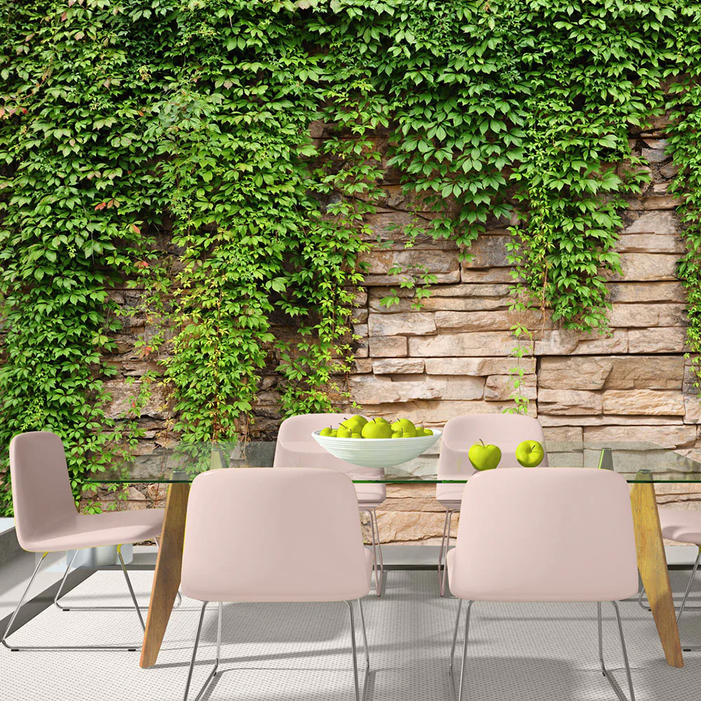 Fototapet Arkiio Ivy Wall