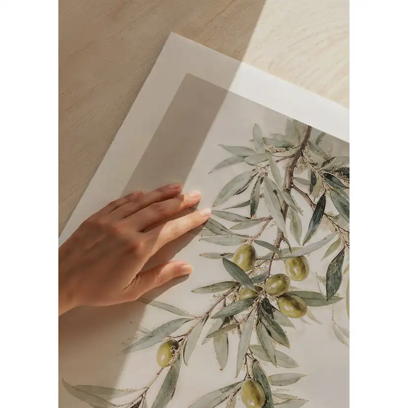 Poster Gallerix Olive Branch Aquarelle