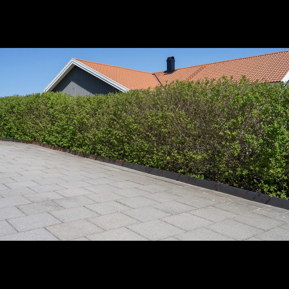 Rabattkant Skotte Garden Corten 4-pack Gräskant, 110 cm