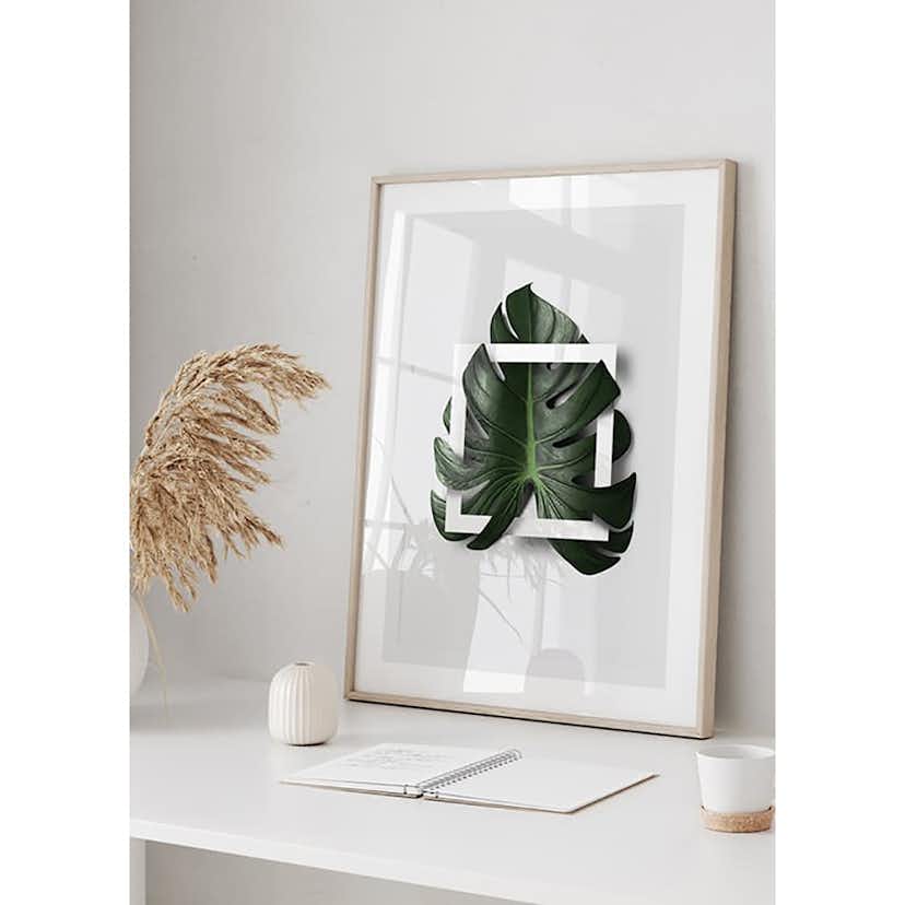 Poster Gallerix Monstera Boxed