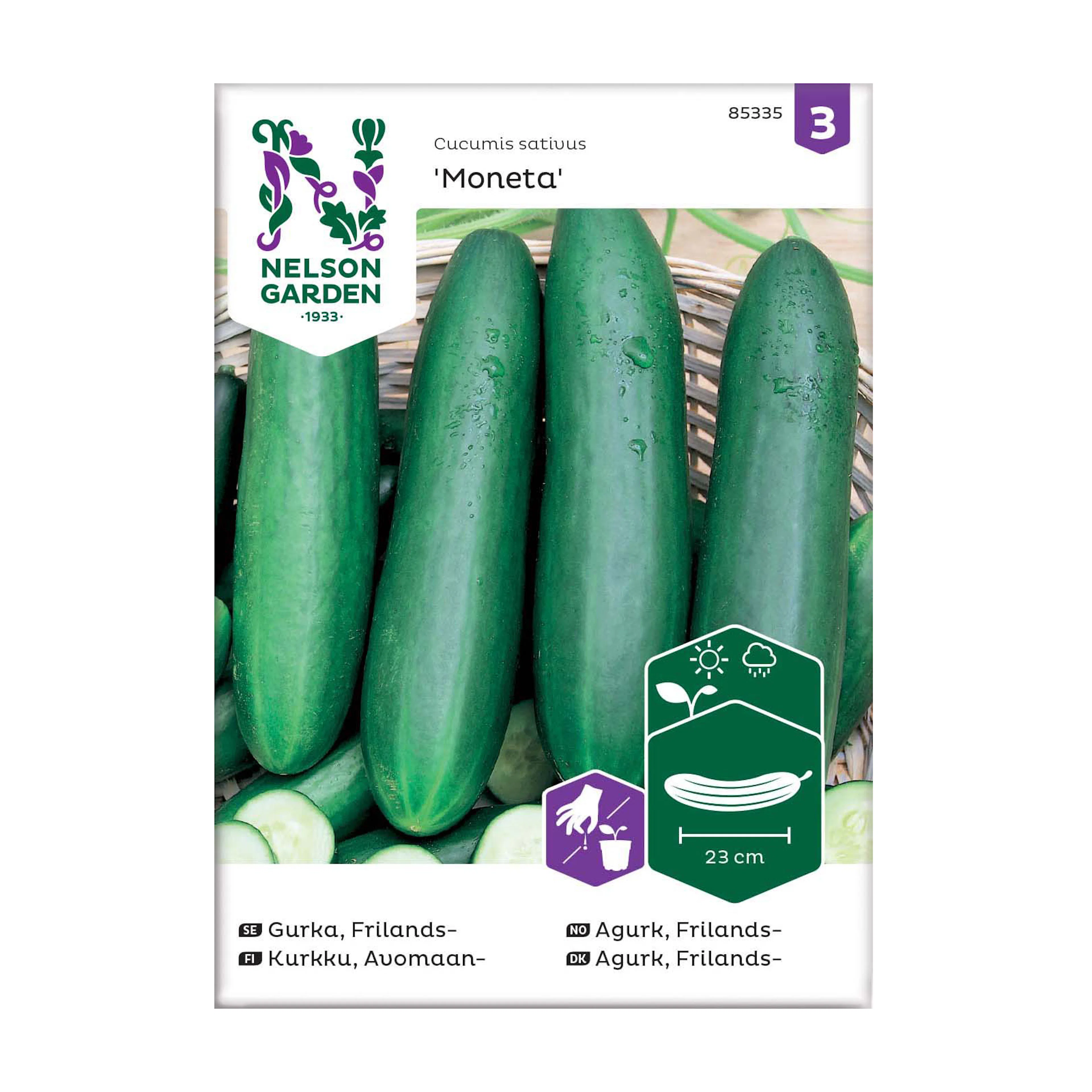 Frö Frilandsgurka Nelson Garden Moneta