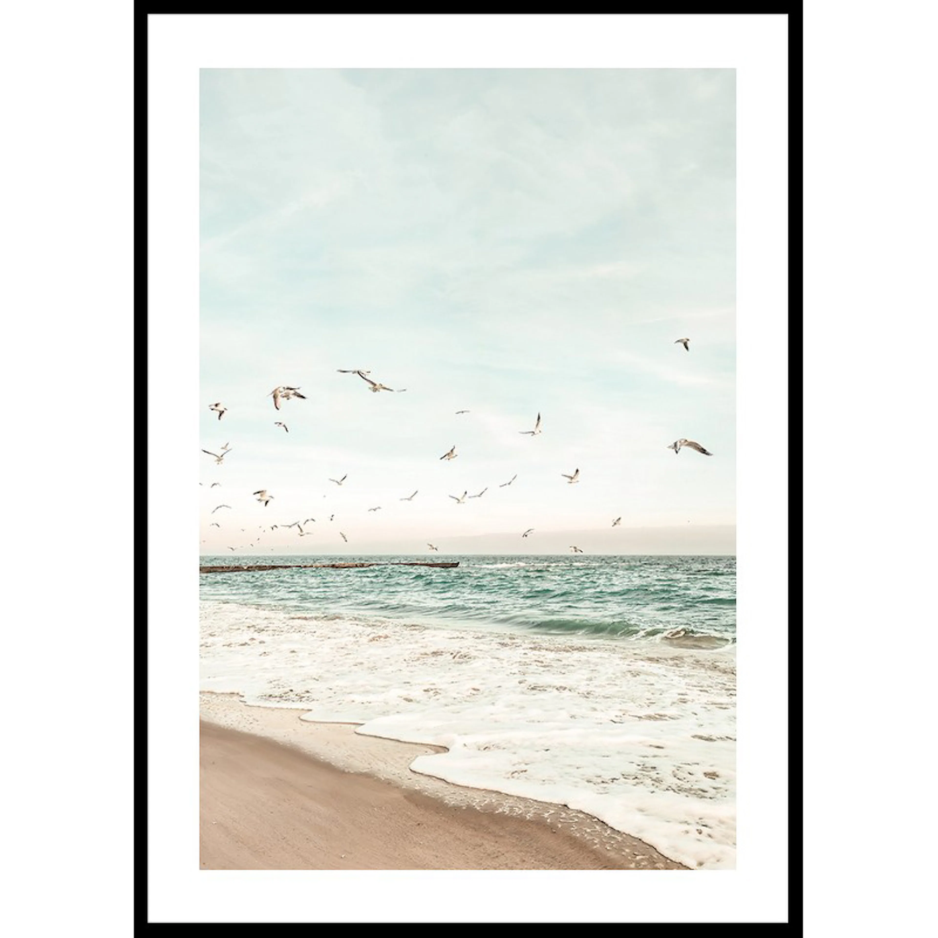 Seagull Shore 30x40 30x40 cm