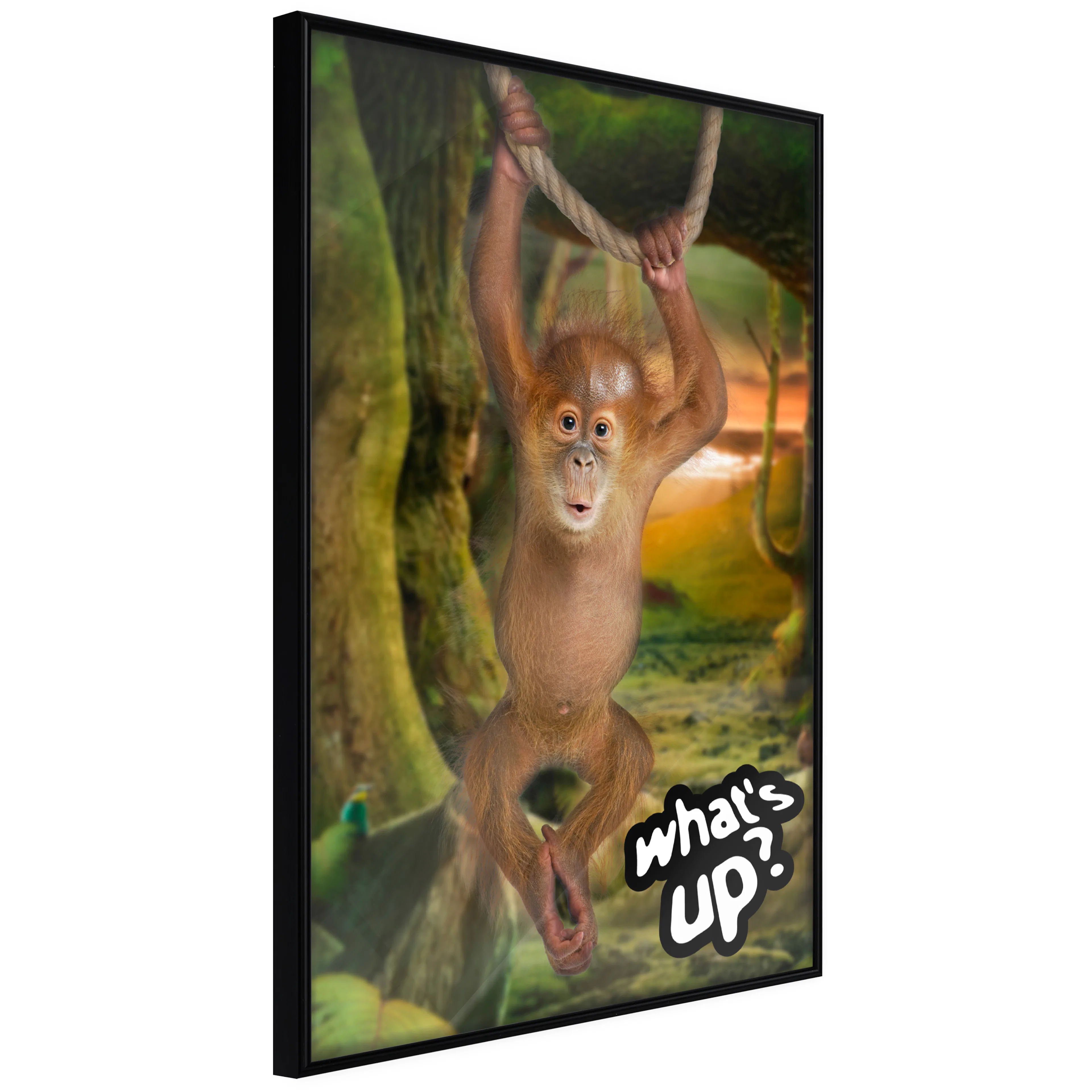 Affisch - What's Up? [Poster] 40x60 Svart ram, 40x60 cm