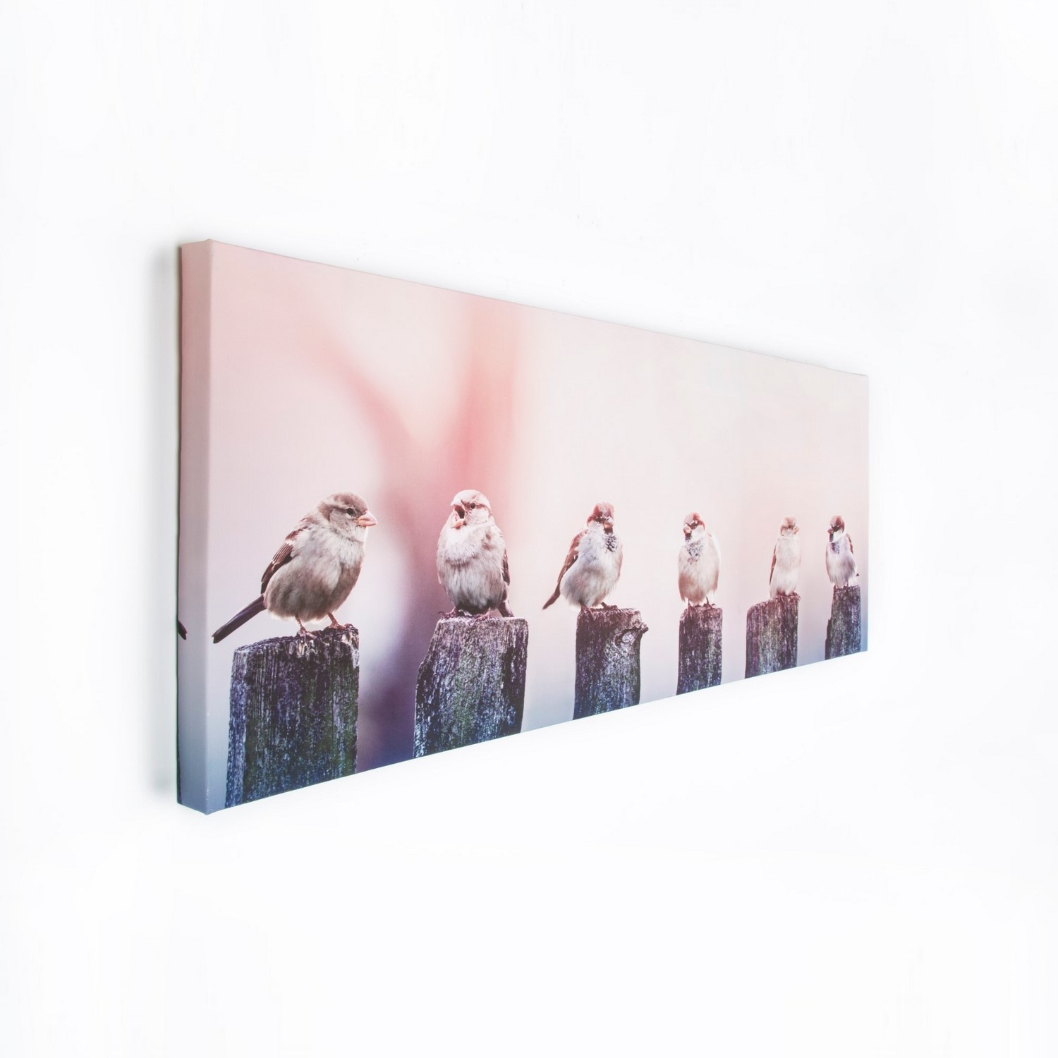 Tavla Art for the Home Early Morning Tweets