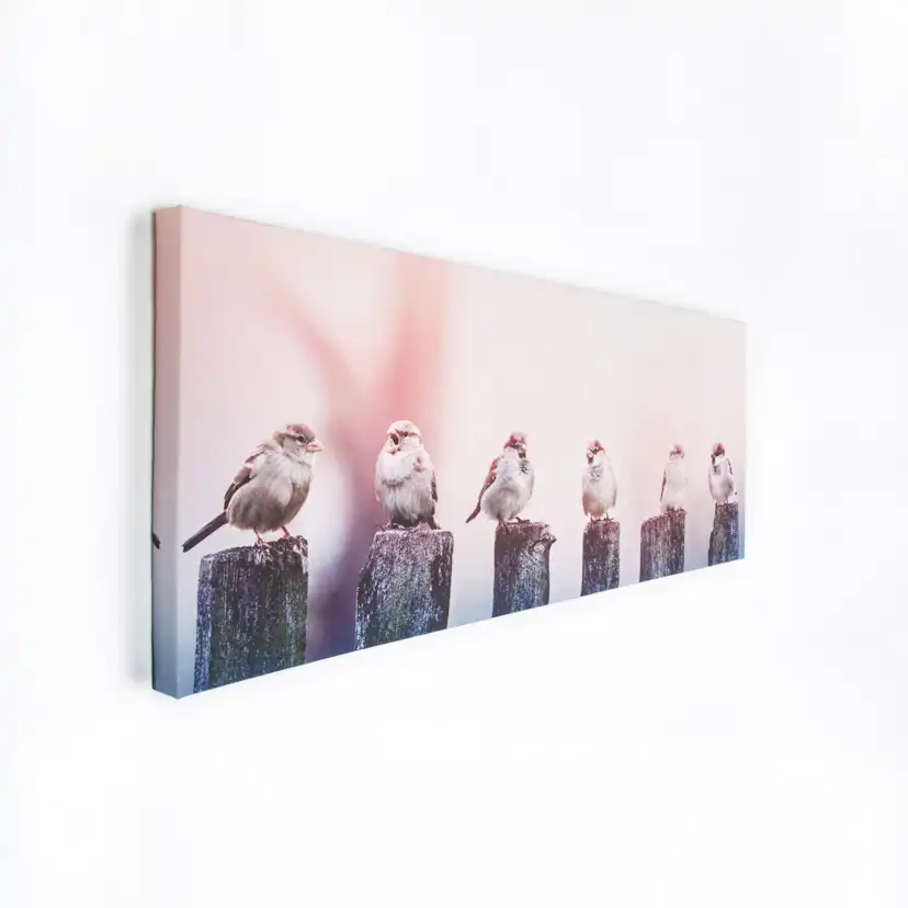 Tavla Art for the Home Early Morning Tweets