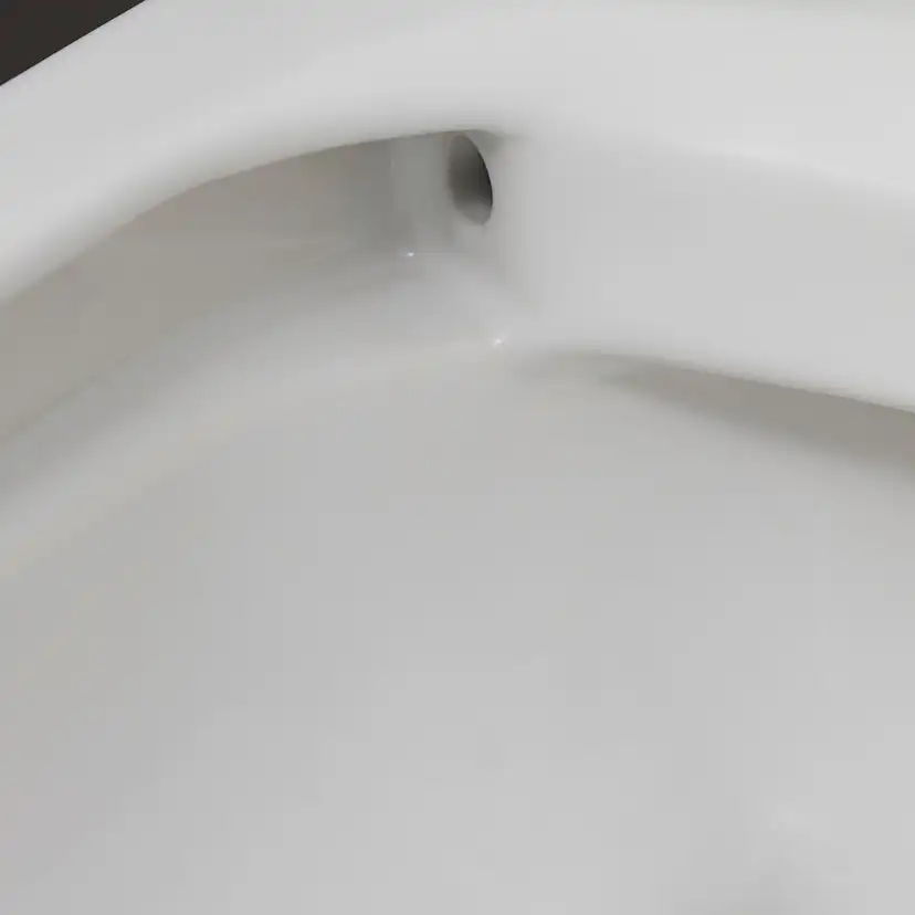 Vägghängd Toalettstol Duravit ME by Starck Rimless 253009 utan Toalettsits