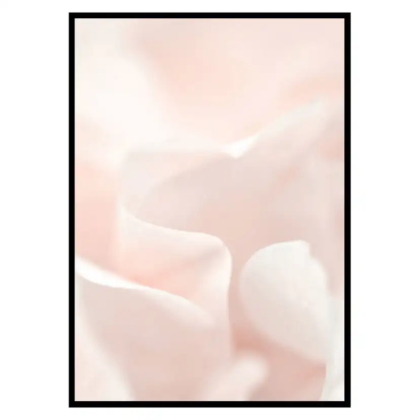 Poster Gallerix Tender Flowers No2