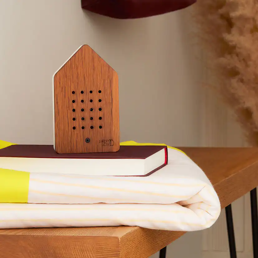 Birdybox Speldosa Fågelkvitter Mörk Ek Fågelkvitter/Mörk Ek