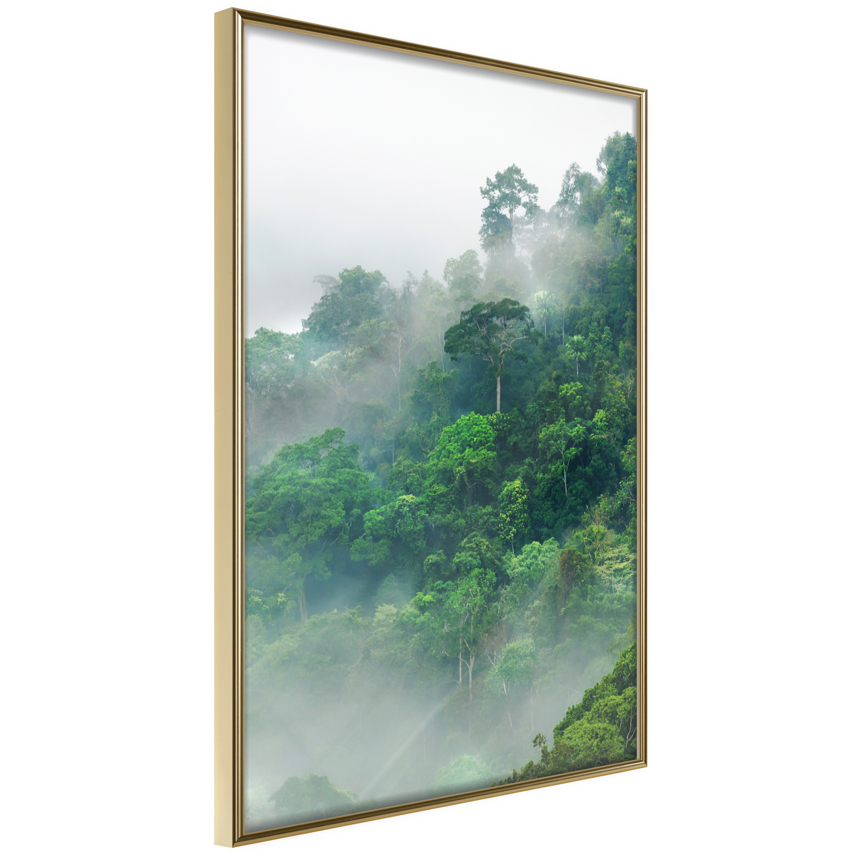 Affisch - Lush Forest [Poster] 40x60 Guld ram, 40x60 cm