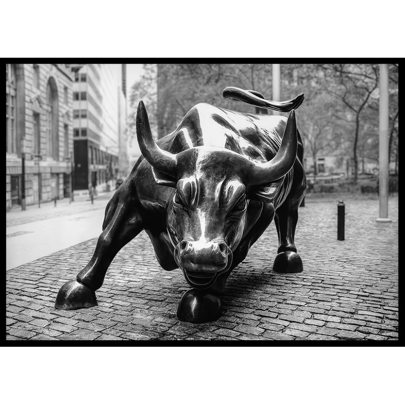 Poster Gallerix Charging Bull No1
