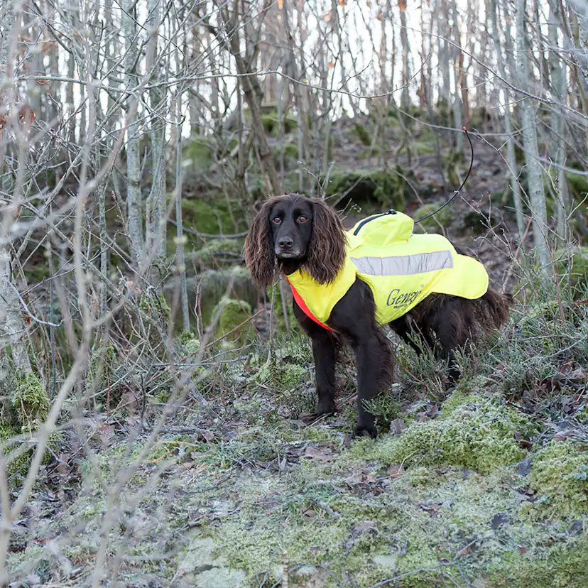 Skytteväst Genzo för Hund