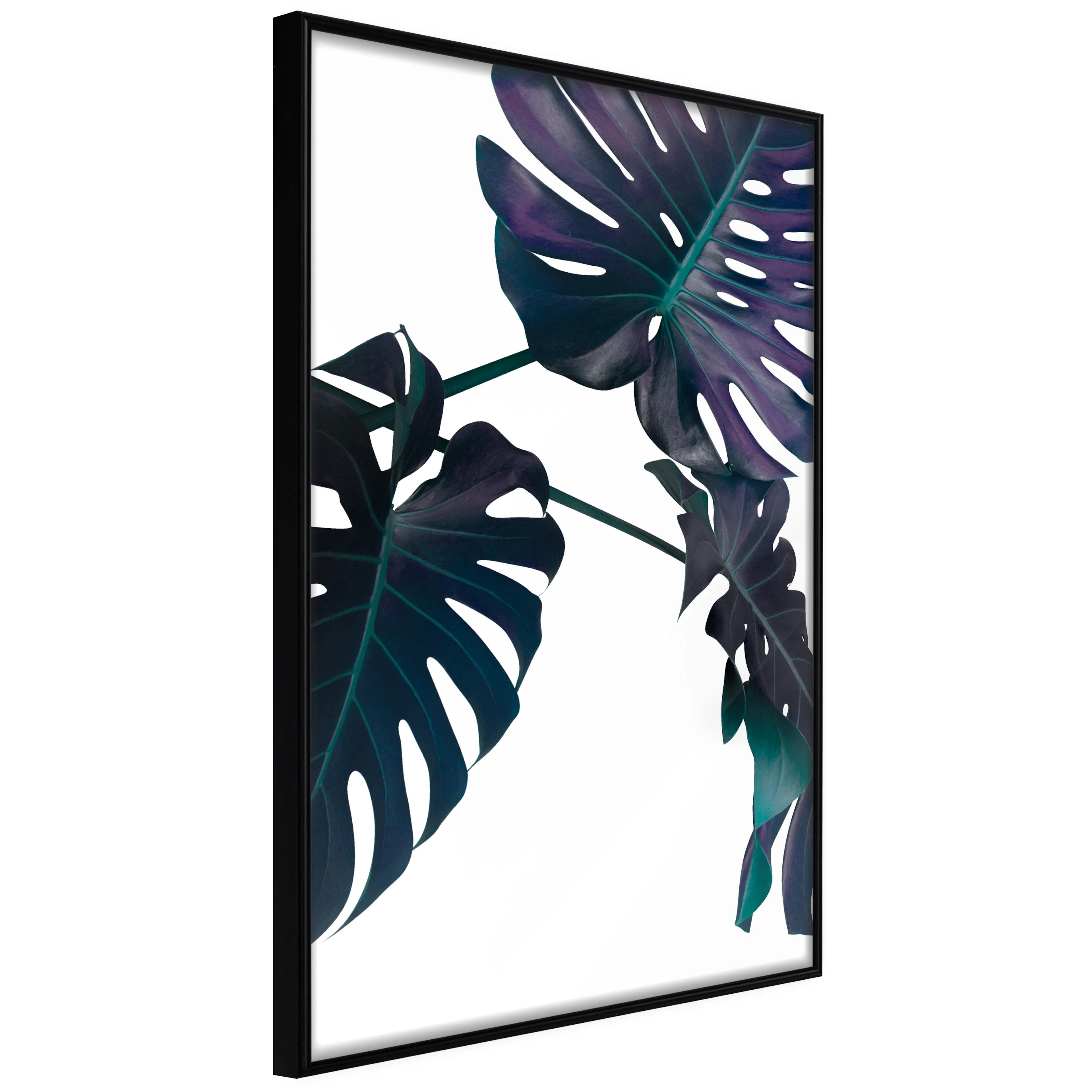 Affisch - Evergreen [Poster] 40x60 Svart ram, 40x60 cm