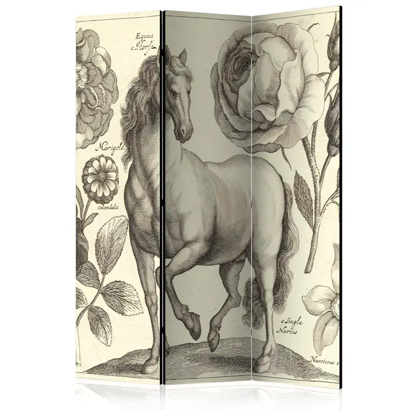 Rumsavdelare Arkiio Horse 135x172 cm