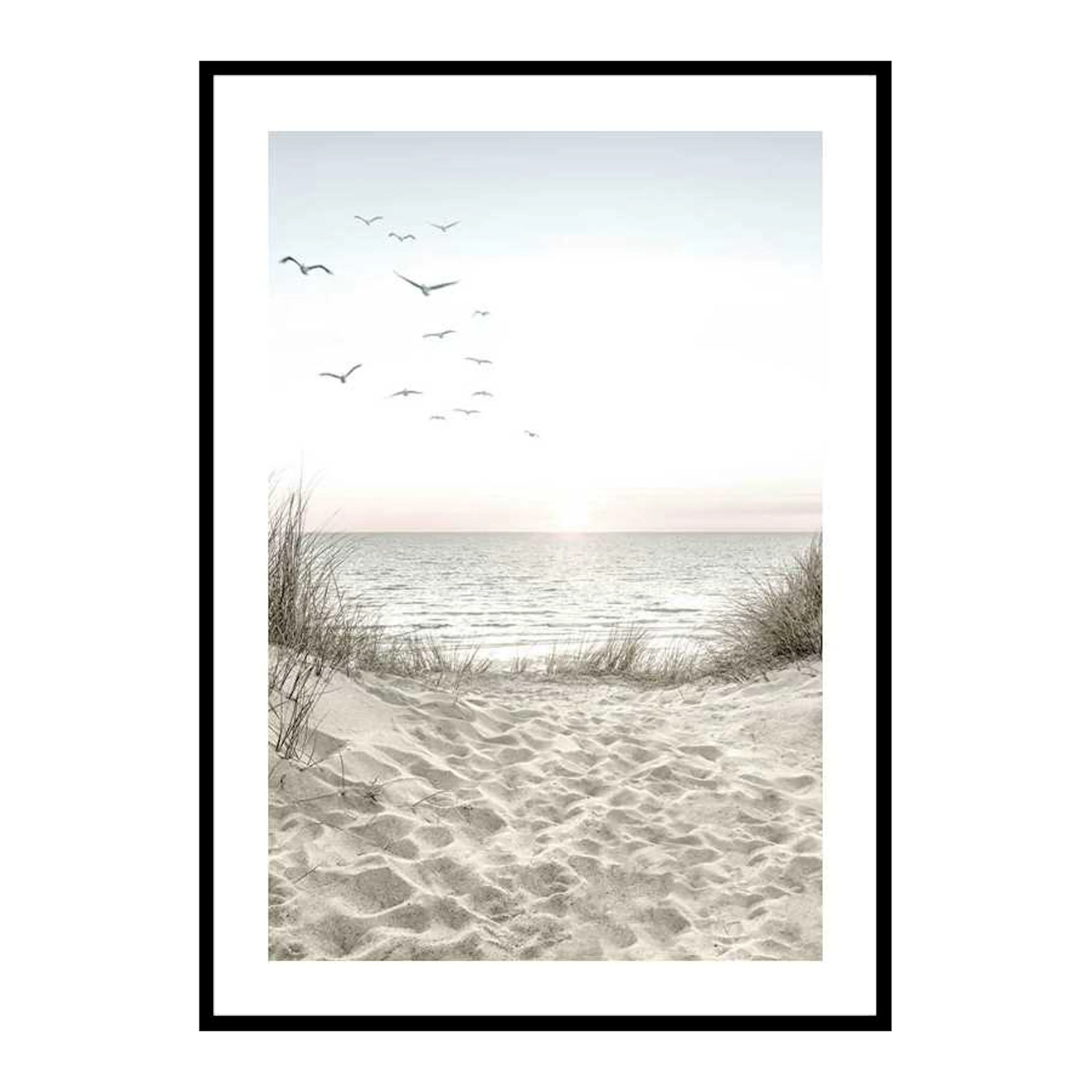 Poster Gallerix Seagulls Sandy Beach