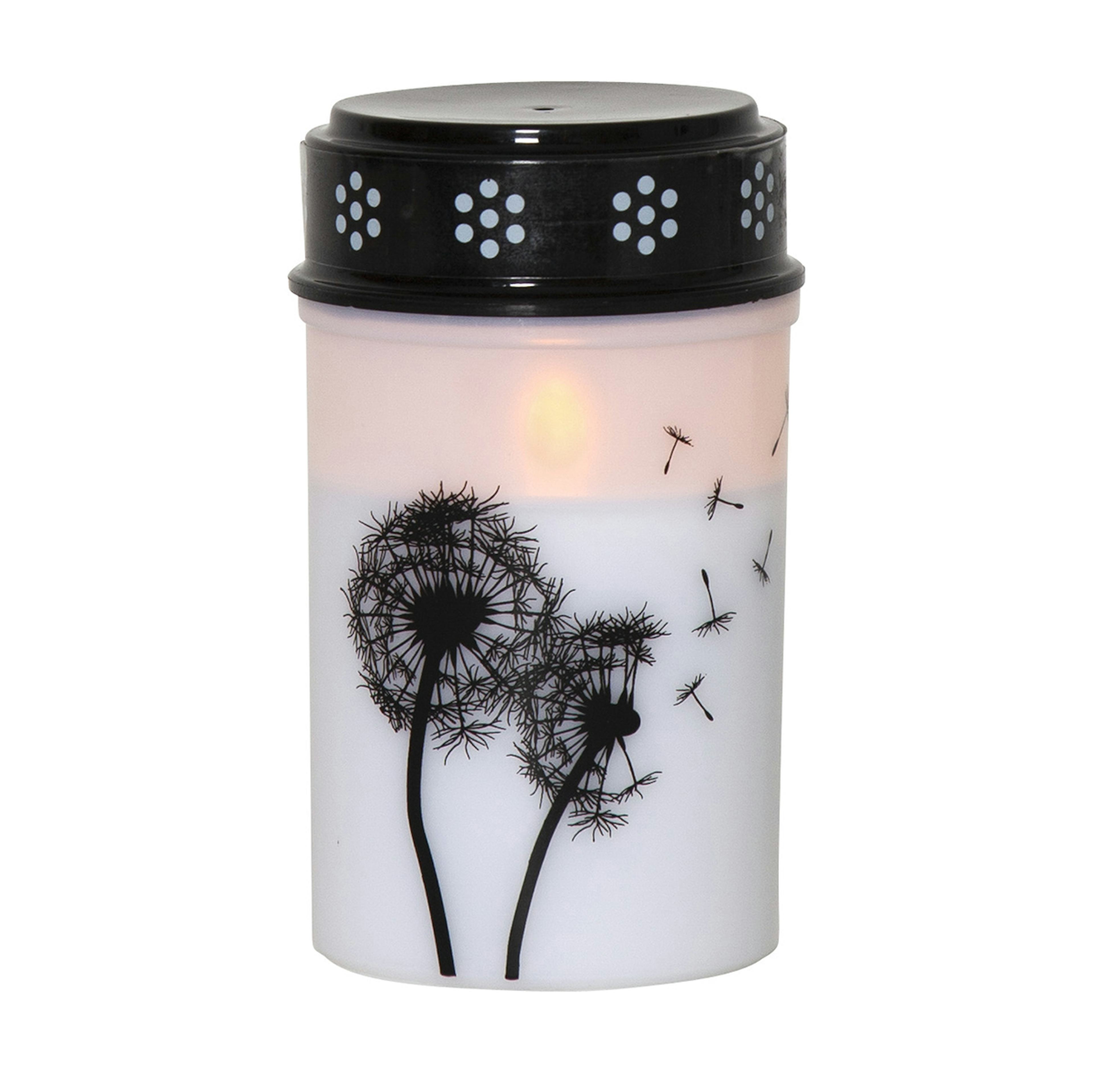 LED-Gravljus Star Trading Dandelion Outdoor