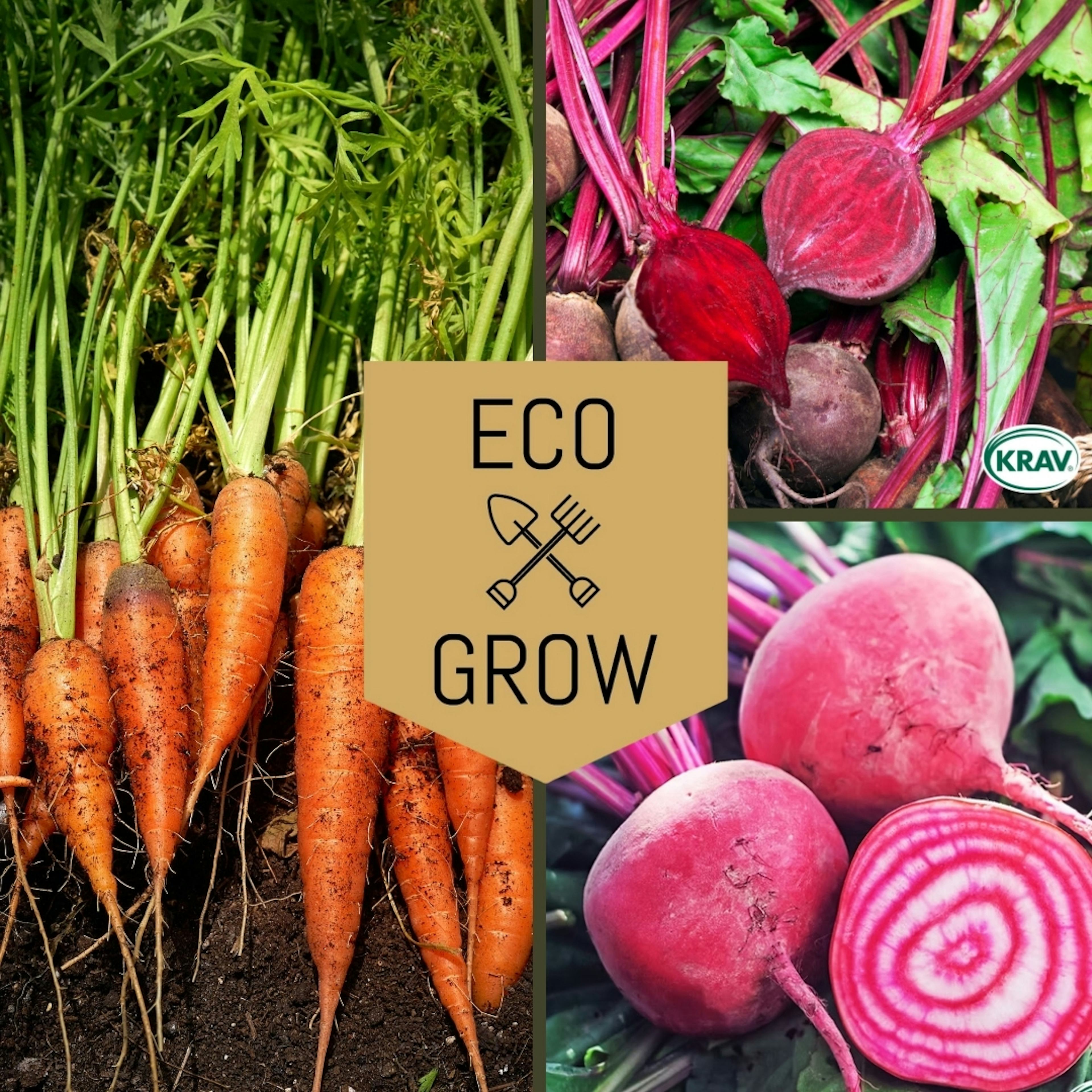 Grönsaksfröer Eco Grow Rotfruktskit Favoriter för Odling 3-pack