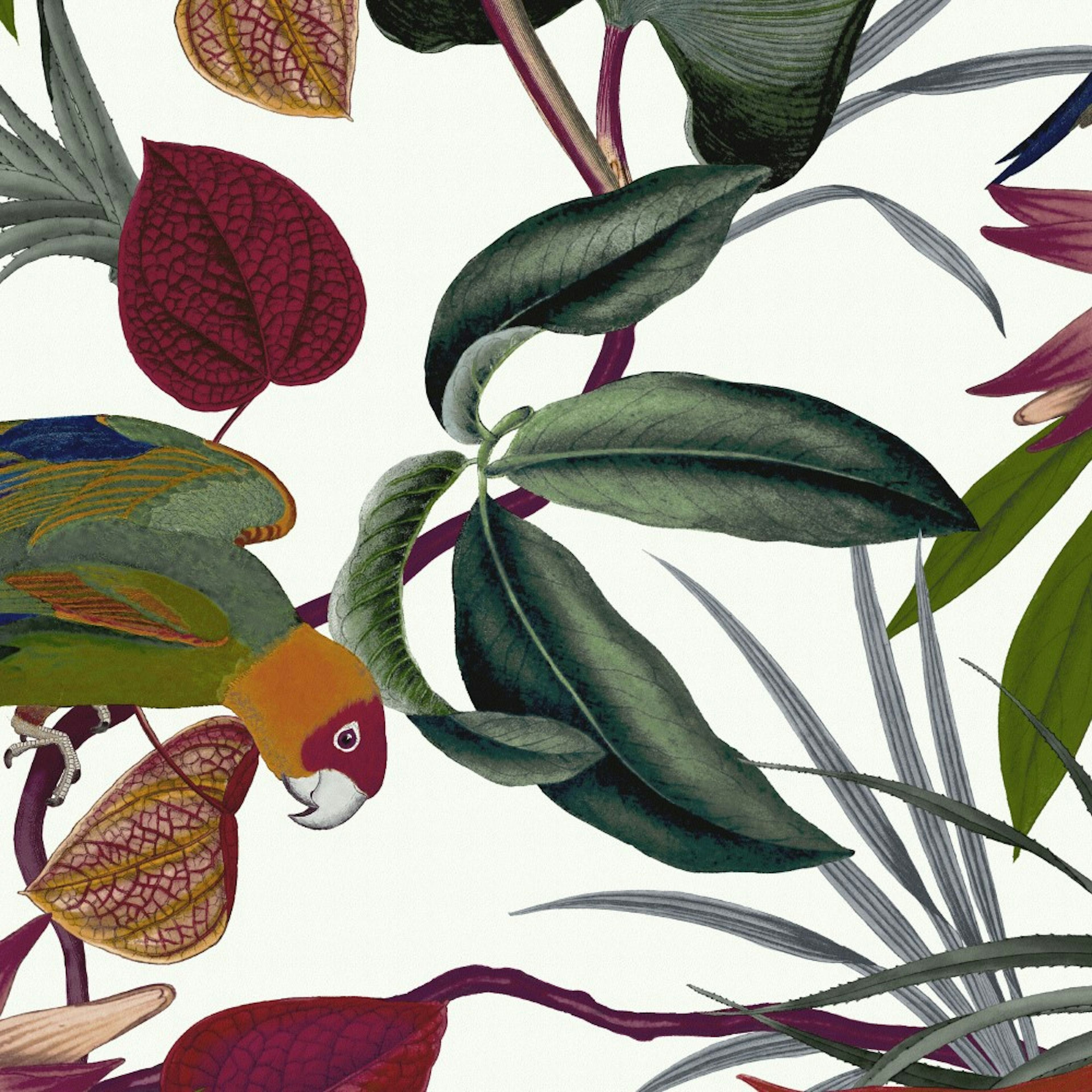 Tapet WOW Papegoja Vit