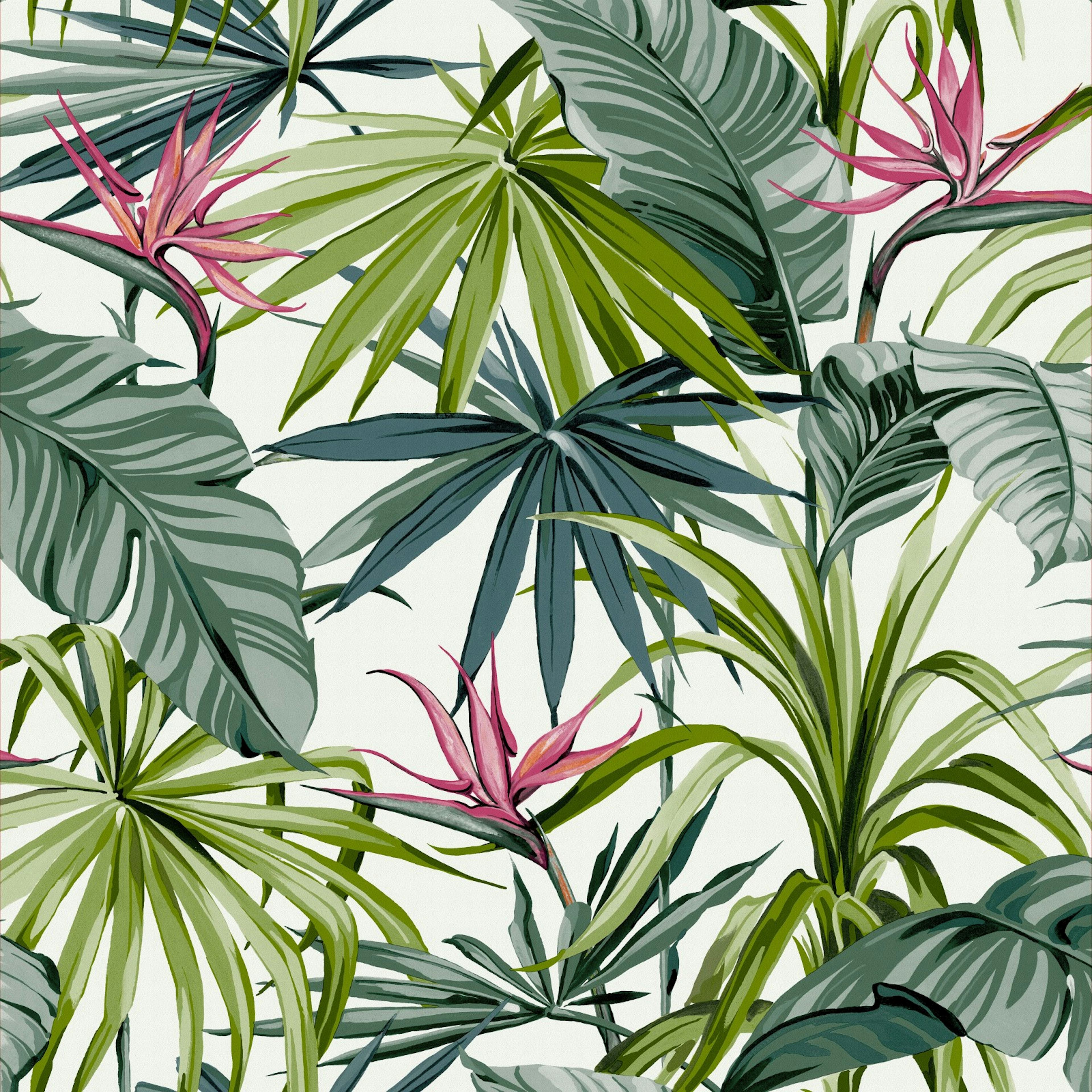 Tapet WOW Bird of Paradise Flower