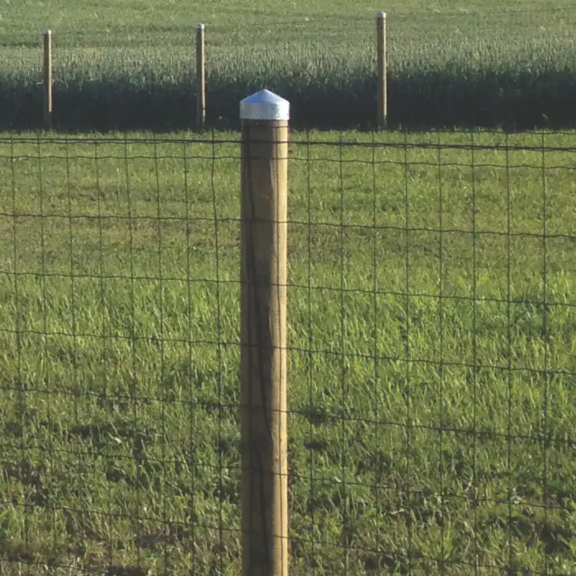 Stolphatt Hortus Galvaniserad Rund