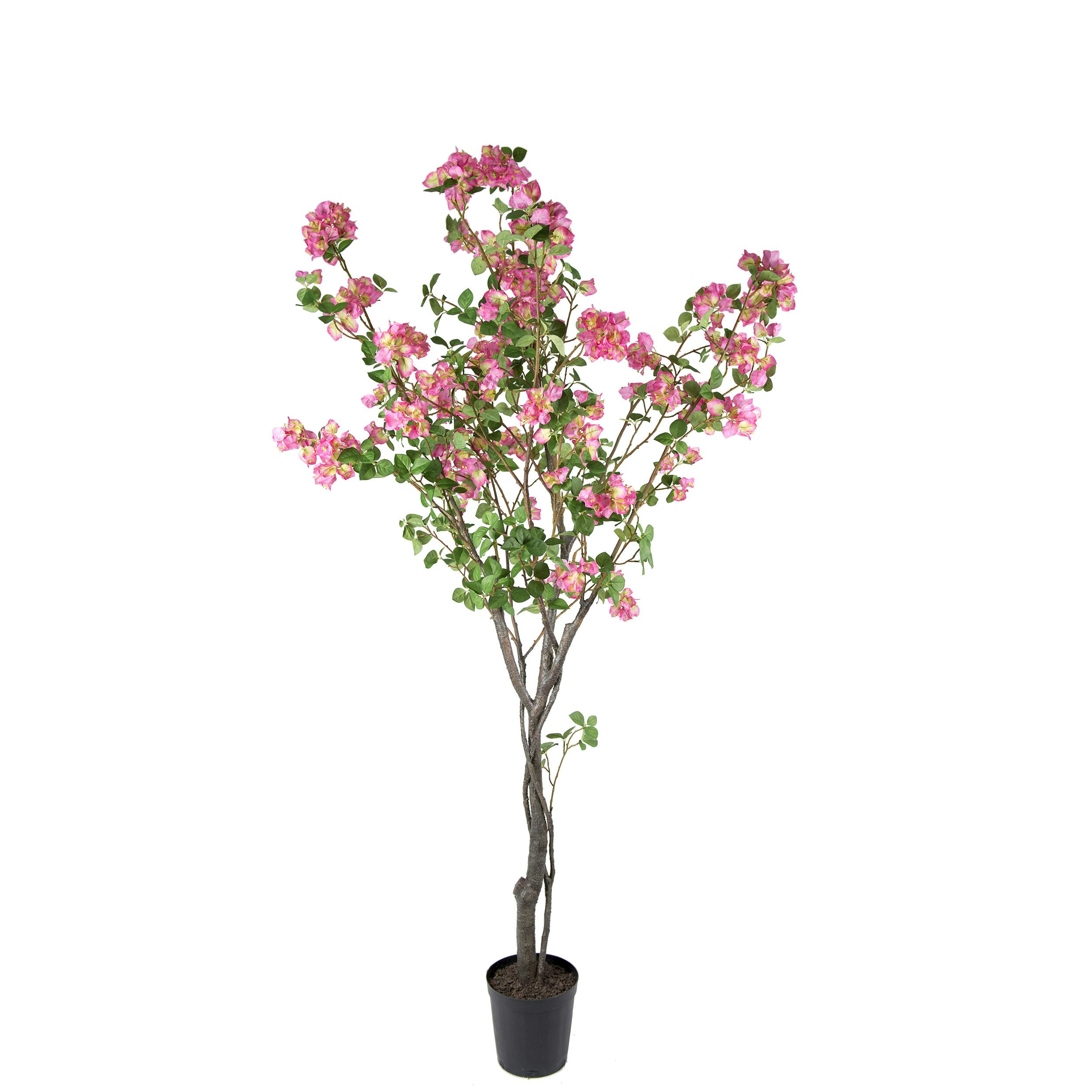 Konstväxt Mr Plant Bougainvillea