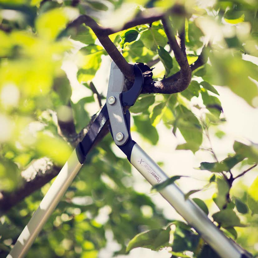 Grensax Fiskars PowerGear X LX94 M