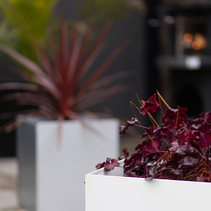 Ytterkruka Skotte Garden