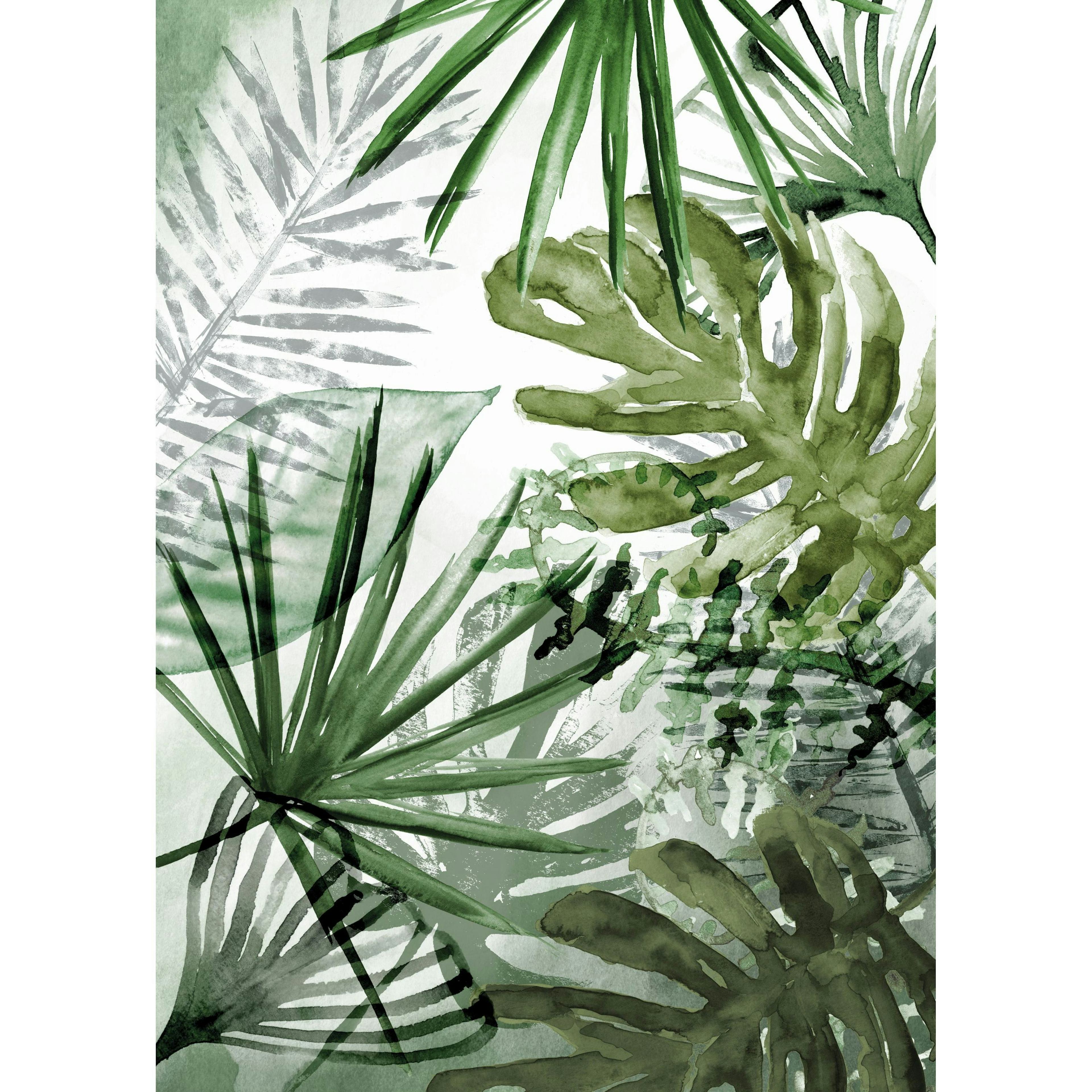 Fototapet Art For The Home Ren Natur Monstera 105400